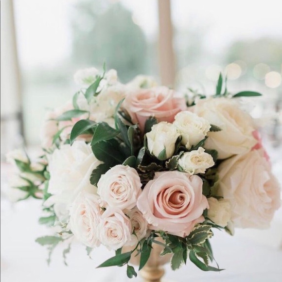 Meet your Posher, Steff - Picture 1 of 1